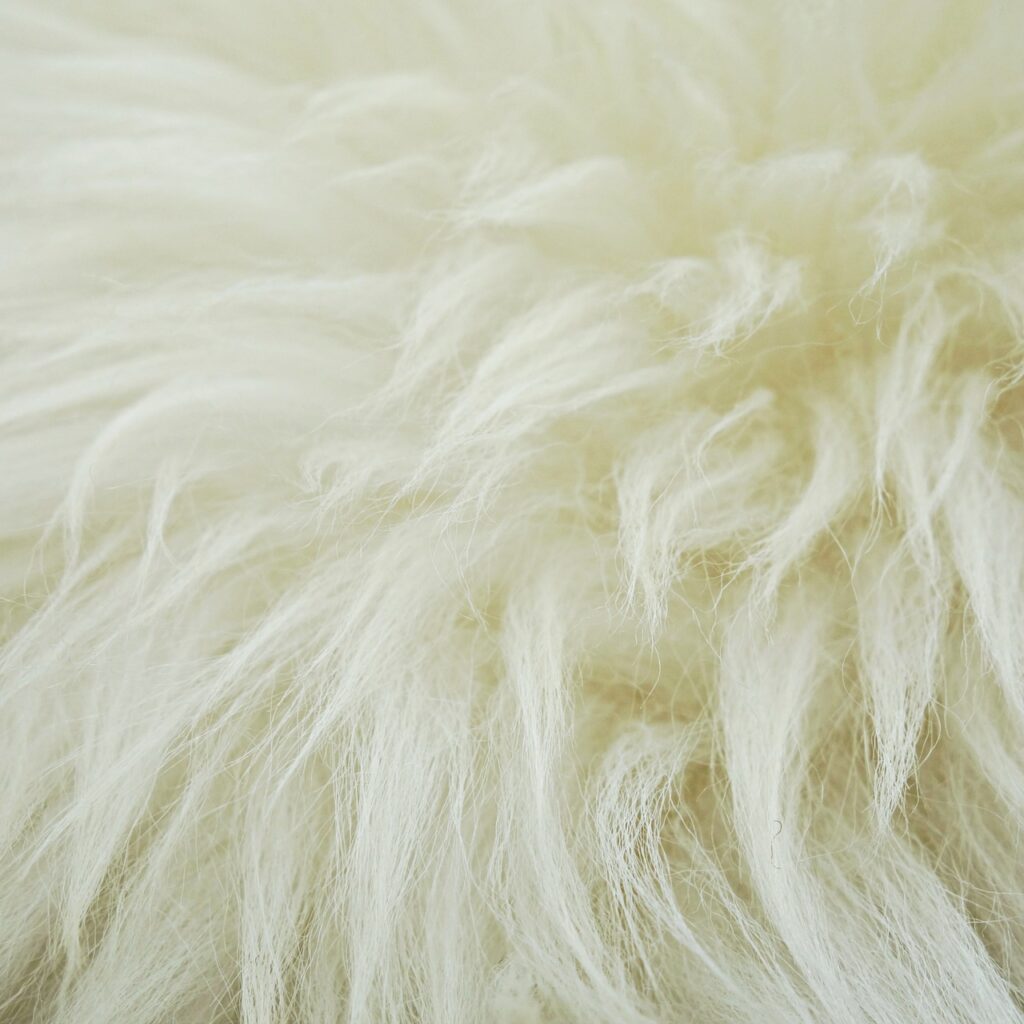 fleece-1524448_1920